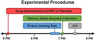 Childhood Emotional Abuse Moderates Associations Among Corticomotor White Matter Structure and Stress Neuromodulators in Women With and Without Depression